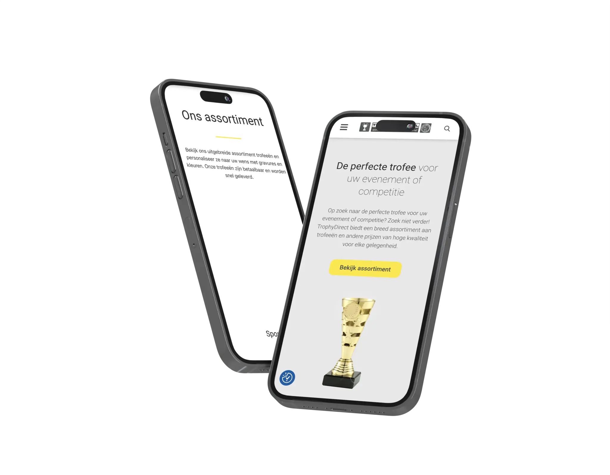 TrophyDirect Website